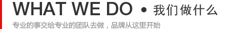 我們能做什么-專業(yè)的事交給專業(yè)的團(tuán)隊(duì)去做，品牌從這里開始